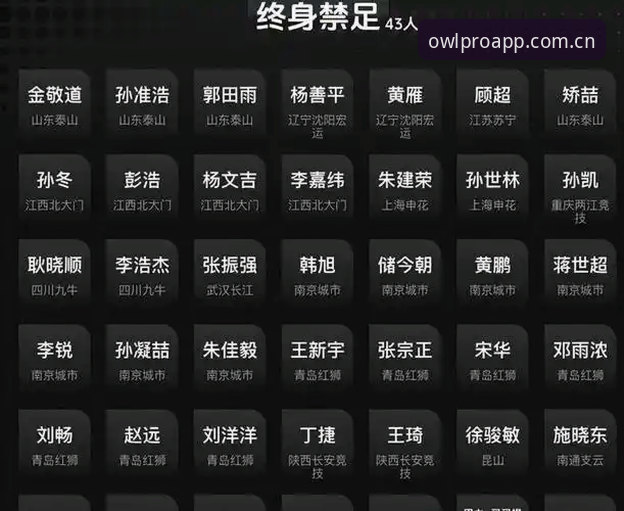 猫头鹰体育推荐 中国足协第三批禁足名单深度解读:涉案人员全景分析与平台观赛指南